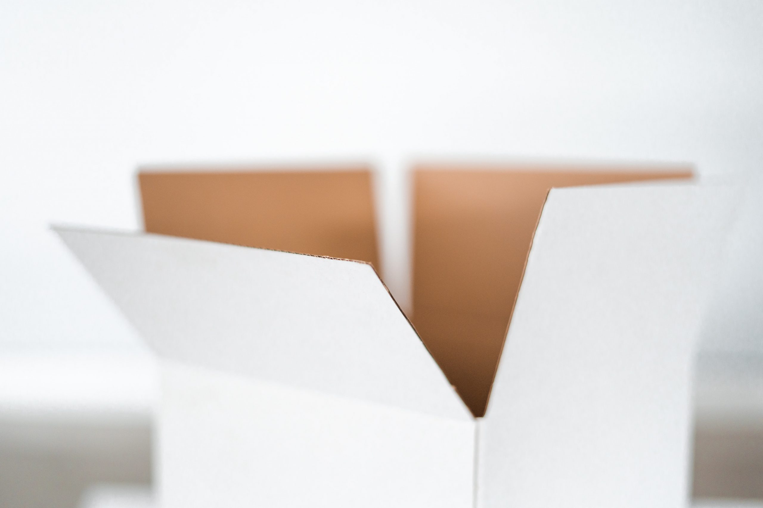 kelli-mcclintock-eKZFEW0-nH4-unsplash
